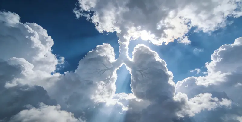 运城肺癌靶向120基因检测（组织）图片1